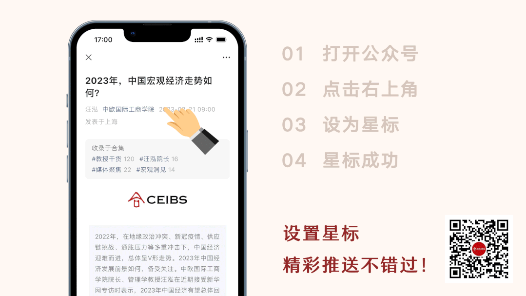 迎风弄潮：中国互联网企业的全球化