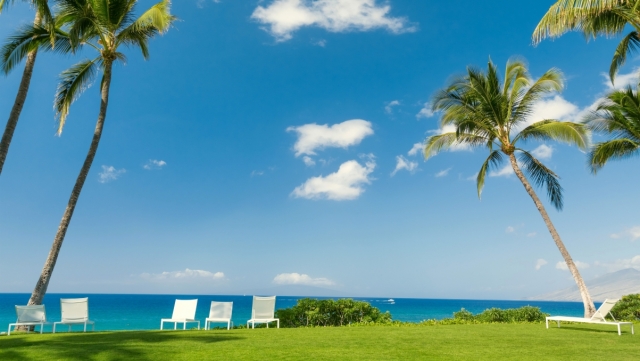 短视频对大脑的伤害有多大？